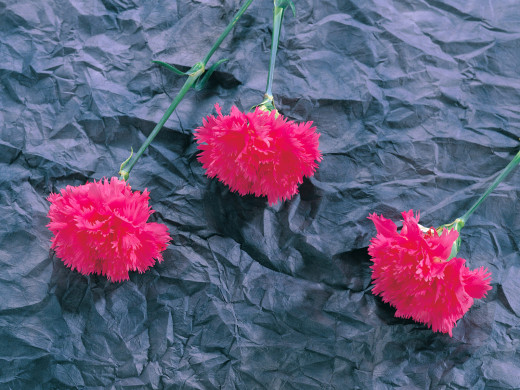 425378 (a): :1600x1200